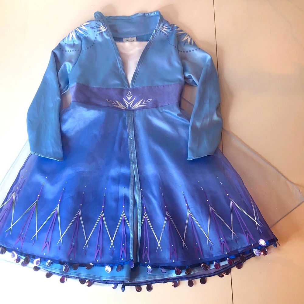 Disney Blue & Purple Elsa Dress Costume
